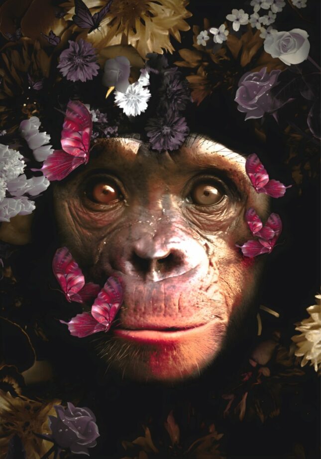7-pdf_1 150x100 / 120x80 / 90x60cm - Exclusive - KRUGER - Planet of the Apes - Glasschilderij - meubelboutique.nl
