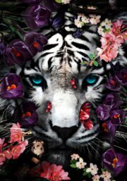 150x100 / 120x80 / 90x60cm - exclusive - kruger - witte tijger felix - glasschilderij - meubelboutique. Nl