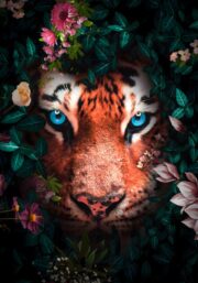 150x100 / 120x80 / 90x60cm - exclusive - kruger - tijger alfie - glasschilderij - meubelboutique. Nl