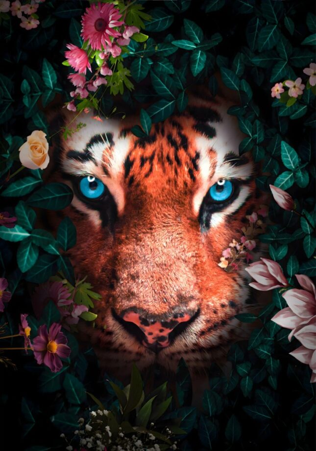 7-pdf_4 150x100 / 120x80 / 90x60cm - Exclusive - KRUGER - Tijger Alfie - Glasschilderij - meubelboutique.nl