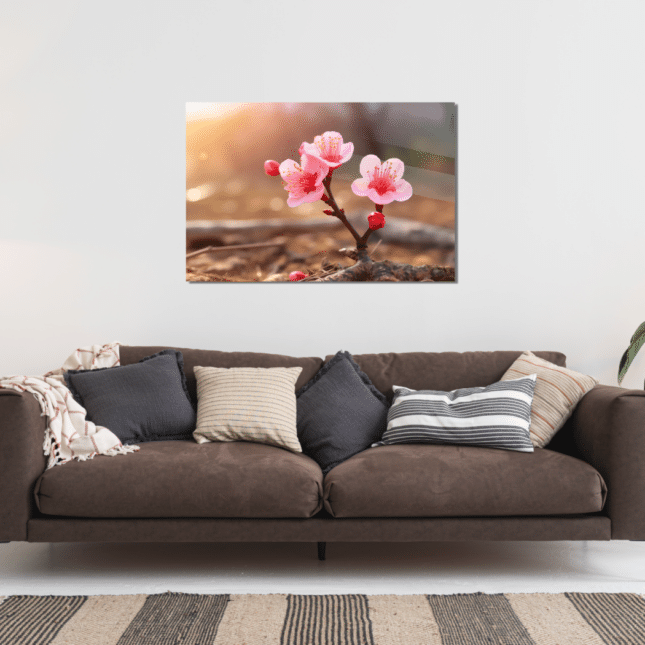 VHD-H-43_5 VHD-H-43_5