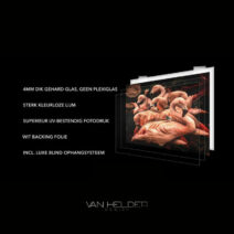 Glasschilderij - Exclusive - Staand - Vrouw met Roze Bloemen Amber - meubelboutique.nl