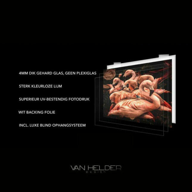 VanHelderDesignExlcusive_800x_49ac81c1-5301-4e06-abac-6a898c5405f3 VanHelderDesignExlcusive_800x_49ac81c1-5301-4e06-abac-6a898c5405f3