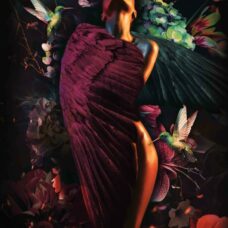 120x80cm - Exclusive - Special - Elizabeth Fly Queen - Glasschilderij - meubelboutique.nl