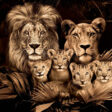 100x150 / 80x120cm - Exclusive - Dieren - Lynn Leeuwen Familie Welpjes - 1, 2, 3, 4 Welpen - Glasschilderij - meubelboutique.nl