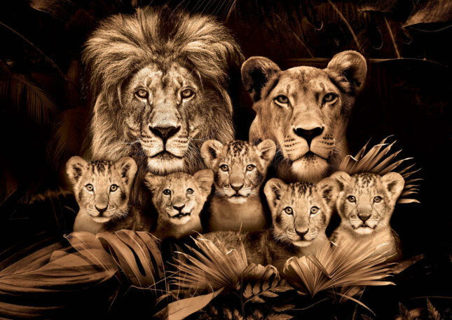 WhatsAppImage2022-12-07at09.30.34 WhatsAppImage2022-12-07at09.30.34