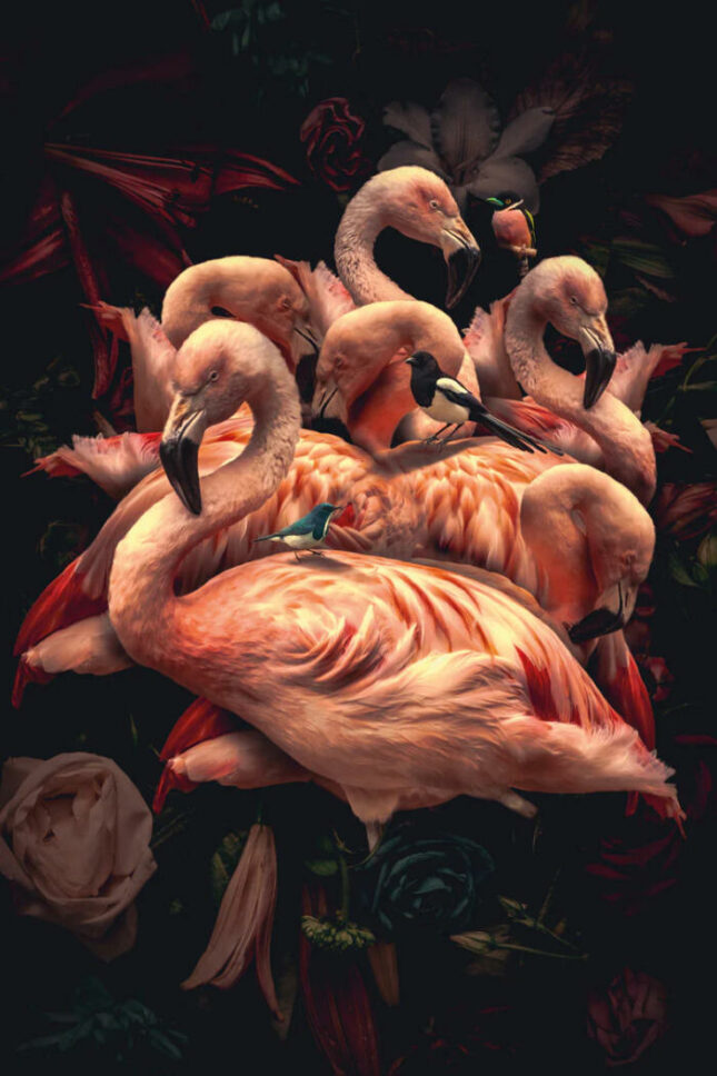 glasschilderij-flamingo-verticaal glasschilderij-flamingo-verticaal