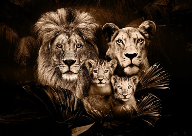 image_bdf7a068-5e63-459f-968d-544f902d543d 100x150 / 80x120cm - Exclusive - Dieren - Lynn Leeuwen Familie Welpjes - 1, 2, 3, 4 Welpen - Glasschilderij - meubelboutique.nl